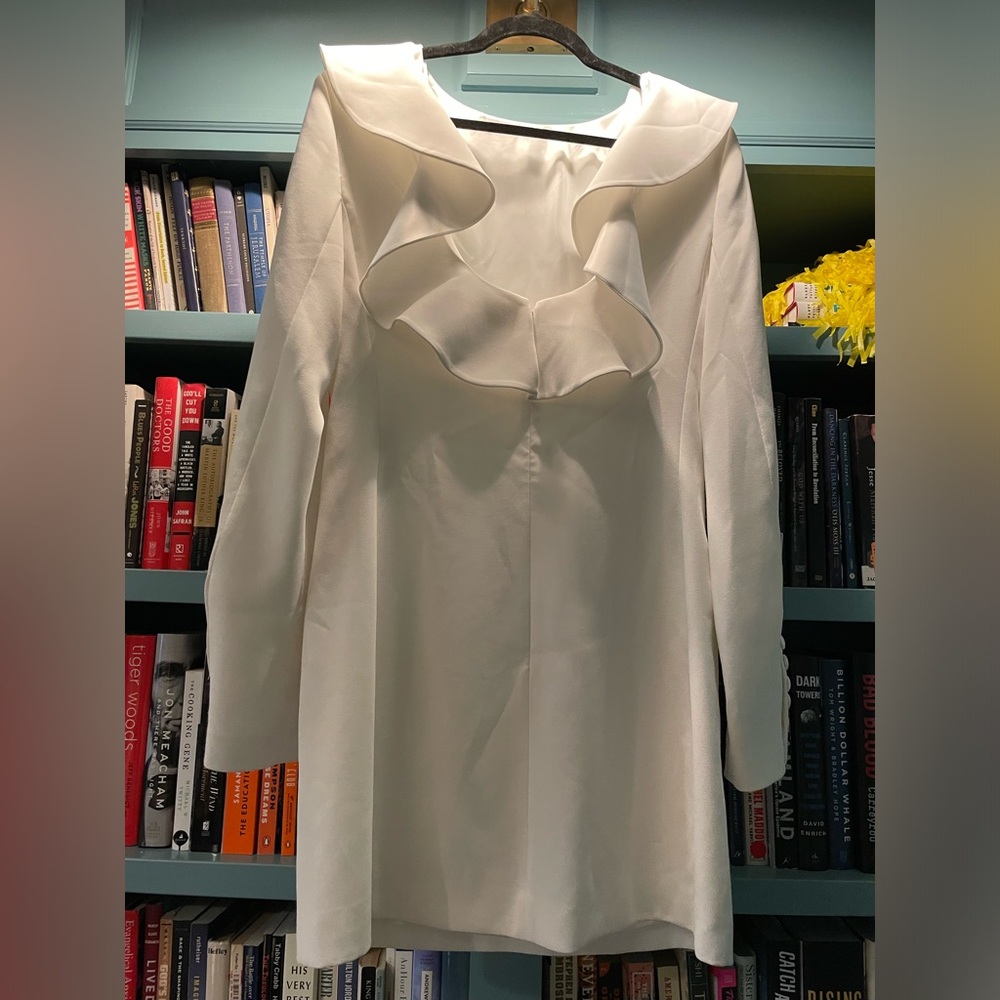Classic Goop Randolph Ruffle Dress - Picture 6 of 11